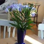 Apartment U Vaclava - 7 Minut Od Letiste Vaclava Havla - Parkovani Zdarma