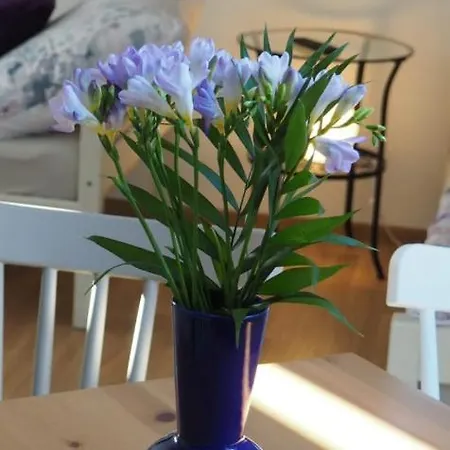 Apartment U Vaclava