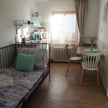 U Vaclava - 7 Minut Od Letiste Vaclava Havla - Parkovani Zdarma Daire