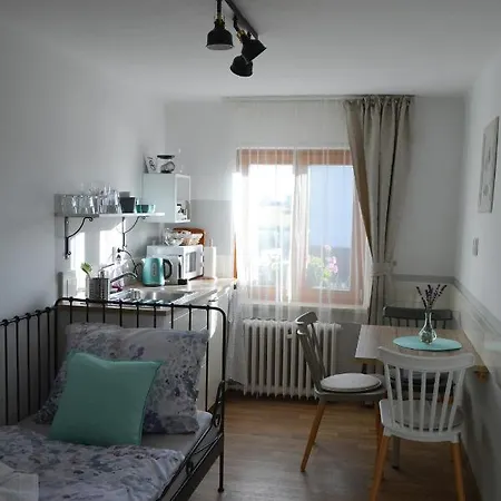 U Vaclava Apartment