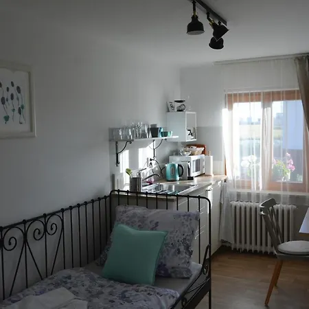 U Vaclava - 7 Minut Od Letiste Vaclava Havla - Parkovani Zdarma Daire Kněževes