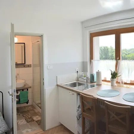 U Vaclava - 7 Minut Od Letiste Vaclava Havla - Parkovani Zdarma Apartman *