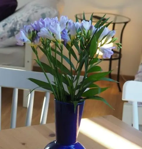 Apartamento U Václava