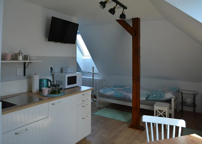 U Václava Apartamento Kněževes